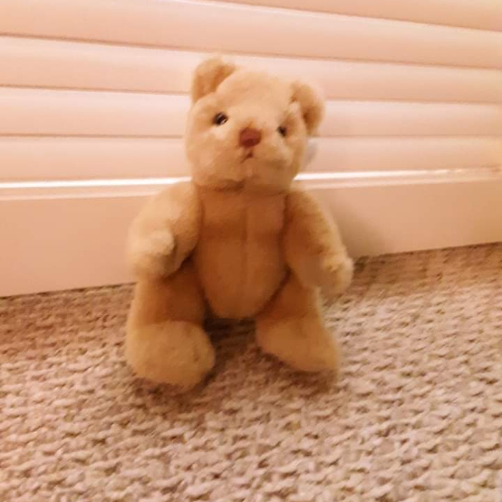 Gund Teddy Bear 1984